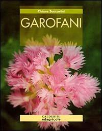Garofani - Chiara Saccavini - copertina
