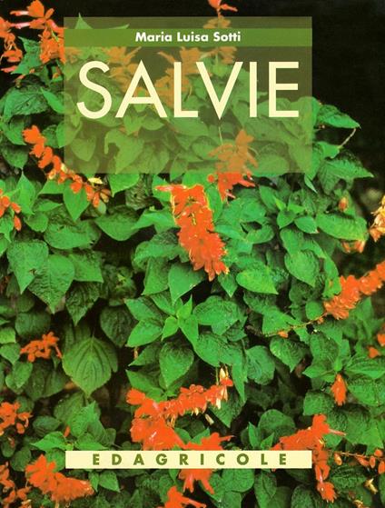 Salvie - M. Luisa Sotti - copertina