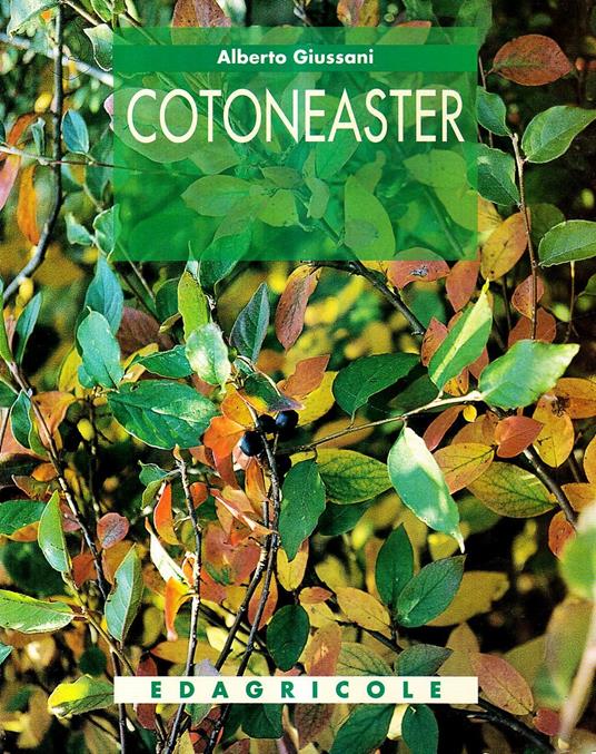 Cotoneaster - Alberto Giussani - copertina