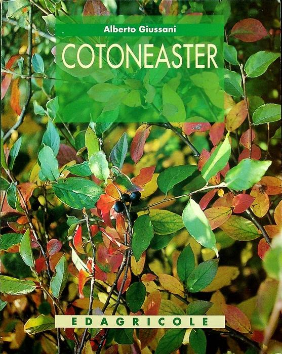 Studio Bibliografico Adige