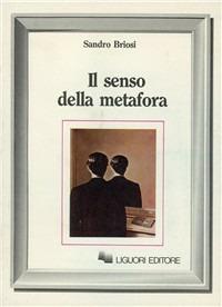 Il senso della metafora - Sandro Briosi - copertina