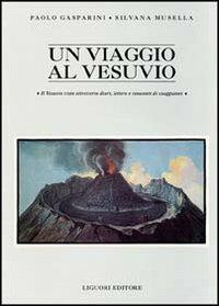 Un viaggio al Vesuvio. Il Vesuvio visto attraverso diari, lettere e resoconti di viaggiatori - Paolo Gasparini,Silvana Musella - copertina