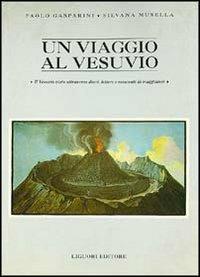 Un viaggio al Vesuvio. Il Vesuvio visto attraverso diari, lettere e resoconti di viaggiatori - Paolo Gasparini,Silvana Musella - copertina