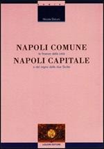 Napoli comune, Napoli capitale. Le finanze della città e del Regno delle Due Sicilie