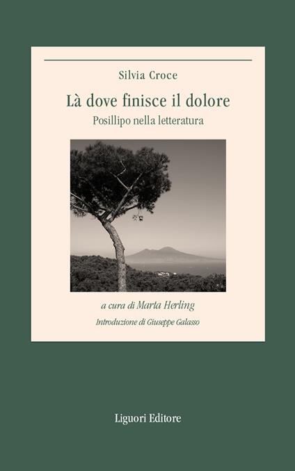 Là dove finisce il dolore. Posillipo nella letteratura - Silvia Croce,Marta Herling - ebook