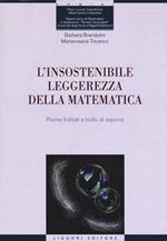 L' insostenibile leggerezza della matematica. Piume frattali e bolle di sapone