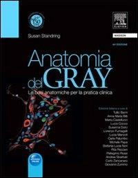 Anatomia del Gray. Le basi anatomiche per la pratica clinica - Susan Standring - copertina