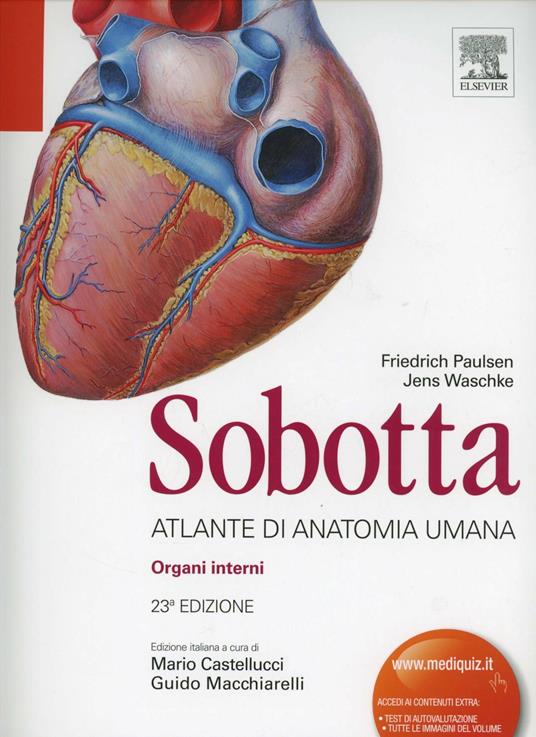 Sobotta. Vol. 2: Atlante di anatomia umana. Organi interni - Friedrich Paulsen,Jens Waschke - copertina