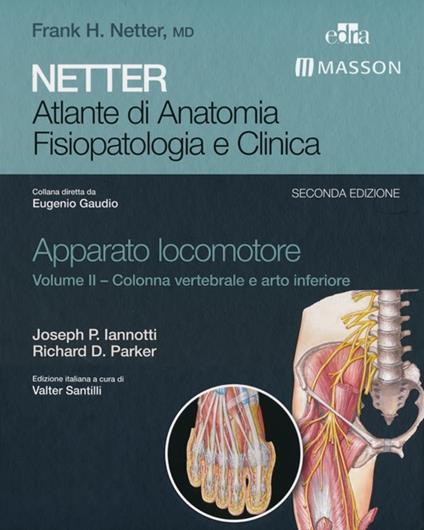 Netter. Atlante di anatomia. Fisiopatologia e clinica. Apparato locomotore. Ediz. illustrata. Vol. 2: Colonna vertebrale e arto inferiore. - Joseph P. Iannotti,Richard D. Parker - copertina