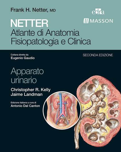 Netter. Atlante di anatomia fisiopatologia e clinica: apparato urinario - Christopher R. Kelly,Jaime Landman - ebook
