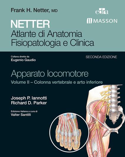 Netter. Atlante di anatomia. Fisiopatologia e clinica. Apparato locomotore. Vol. 2 - Joseph P. Iannotti,Richard D. Parker,Valter Santilli - ebook