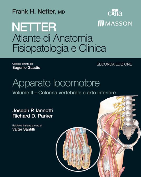 Netter. Atlante di anatomia. Fisiopatologia e clinica. Apparato locomotore. Vol. 2 - Joseph P. Iannotti,Richard D. Parker,Valter Santilli - ebook