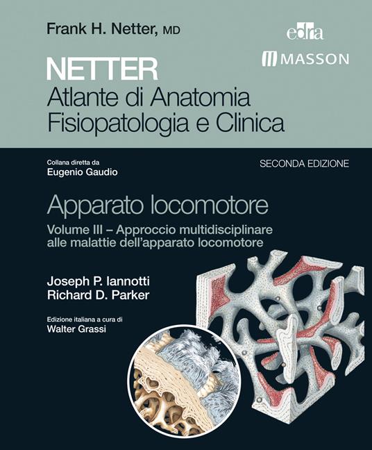 Netter. Atlante di anatomia fisiopatologia e clinica. Apparato locomotore. Vol. 3 - Joseph P. Iannotti,Richard D. Parker,E. Gaudio,W. Grassi - ebook
