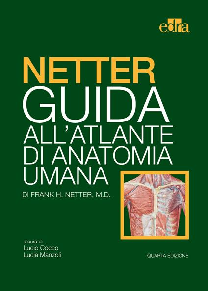 Netter. Guida all'atlante di anatomia umana - Frank H. Netter,Lucio Cocco,Lucia Manzoli - ebook
