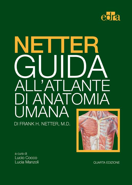 Netter. Guida all'atlante di anatomia umana - Frank H. Netter,Lucio Cocco,Lucia Manzoli - ebook