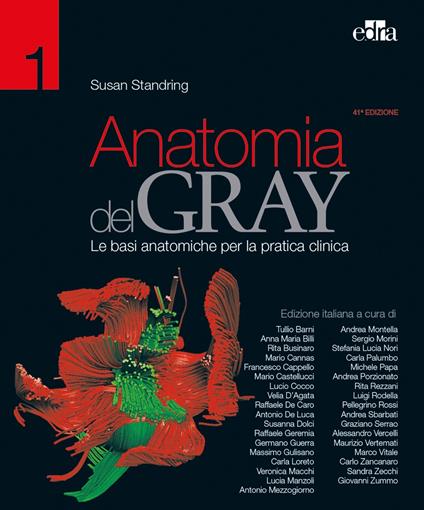 Anatomia del Gray. Le basi anatomiche per la pratica clinica. Vol. 1-2 - Susan Standring - ebook