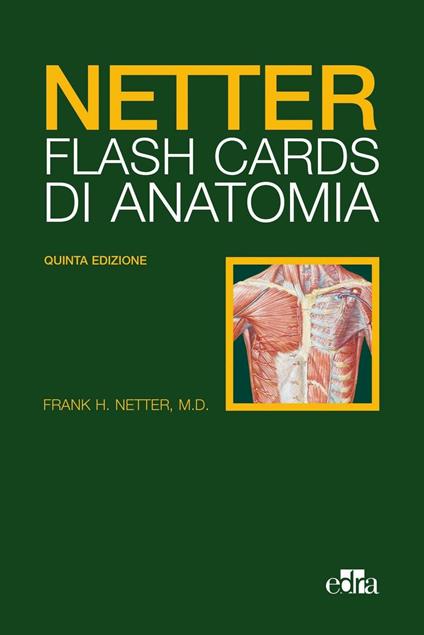 Netter Flash cards di anatomia - Frank H. Netter - copertina