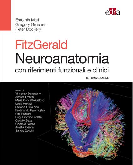 Fitzgerald. Neuroanatomia con riferimenti funzionali e clinici - Peter Dockery,Gregory Gruener,Estomih Mtui - ebook