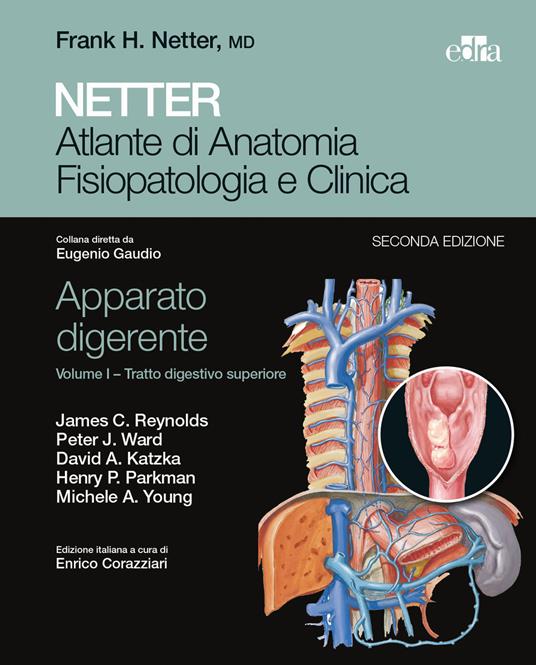 Netter. Atlante di anatomia fisiopatologia e clinica. Apparato digerente. Vol. 1: Tratto digestivo superiore. - copertina