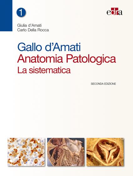 Gallo d'Amati. Anatomia patologica. La sistematica - Giulia D'Amati,Carlo Della Rocca - copertina