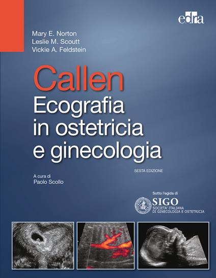 Callen. Ecografia in ostetricia e ginecologia - Mary E. Norton,Leslie M. Scoutt,Vickie A. Feldstein - copertina