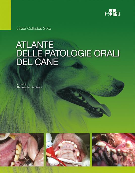 Atlante delle patologie orali del cane - Javier Collados Soto - copertina