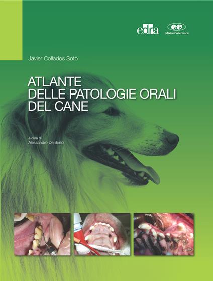 Atlante delle patologie orali del cane - Javier Collados Soto,Alessandro De Simoi - ebook