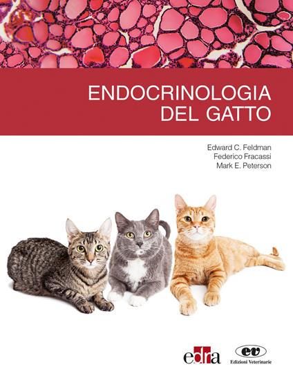 Endrocrinologia del gatto - Edward C. Feldman,Federico Fracassi,Mark E. Peterson - copertina