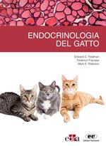 Endrocrinologia del gatto