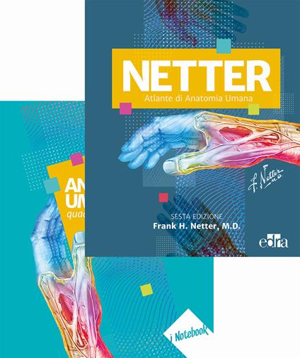 Netter. Atlante di anatomia umana. Con quaderno degli esercizi di anatomia - Frank H. Netter - copertina