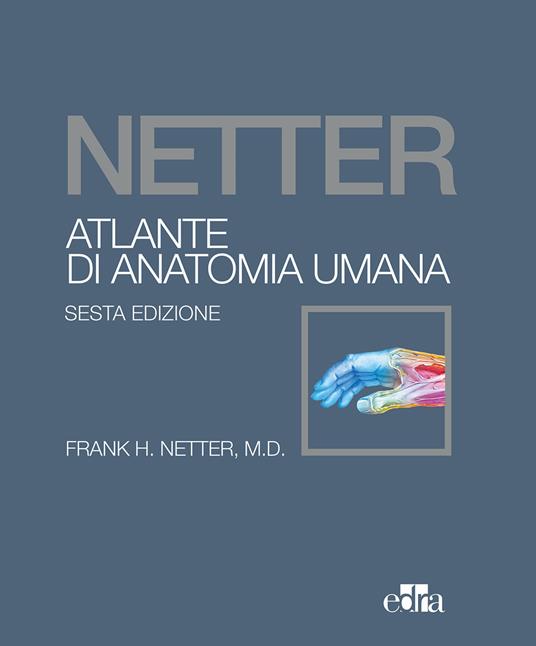 Netter. Atlante di anatomia umana - Frank H. Netter - copertina