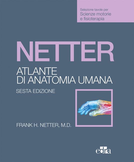 Netter. Atlante anatomia umana. Scienze motorie e fisioterapia - Frank H. Netter - copertina