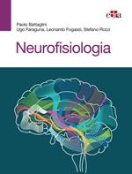 Neurofisiologia