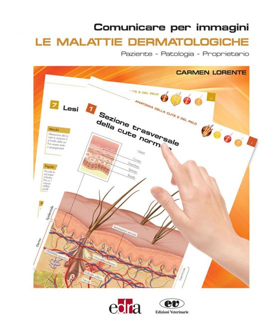 Le malattie dermatologiche. Paziente-Patologia-Proprietario. Comunicare per immagini - Carmen Lorente - ebook