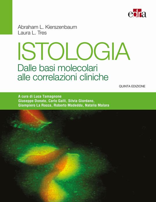 Istologia. Dalle basi molecolari alle correlazioni cliniche - Abraham L. Kierszenbaum,Laura L. Tres - copertina