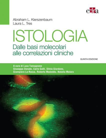 Istologia. Dalle basi molecolari alle correlazioni cliniche - Abraham L. Kierszenbaum,Laura L. Tres - ebook