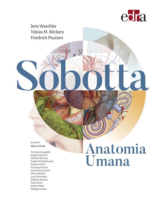 Sobotta. Anatomia umana - Jens Waschke,Tobias M. Bockers,Friedrich Paulsen - copertina