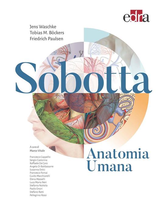 Sobotta. Anatomia umana - Tobias M. Bockers,Friedrich Paulsen,Jens Waschke,Marco Vitale - ebook