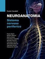 Neuroanatomia. Sistema nervoso periferico