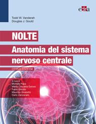 Nolte. Anatomia del sistema nervoso centrale