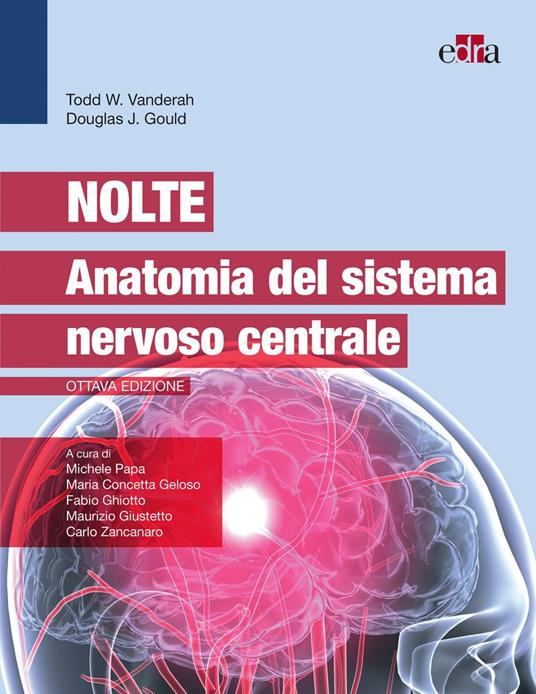 Nolte. Anatomia del sistema nervoso centrale - Douglas J. Gould,Todd W. Vanderah - ebook