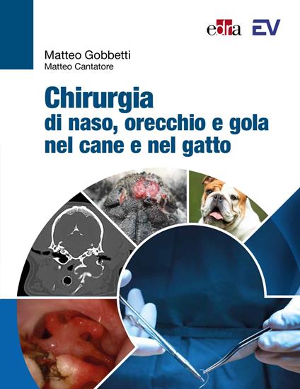 Chirurgia di naso, orecchio e gola nel cane e nel gatto - Matteo Gobbetti,Matteo Cantatore - copertina