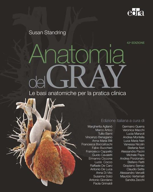Anatomia del Gray. Le basi anatomiche per la pratica clinica. Vol. 1-2 - Susan Standring - ebook