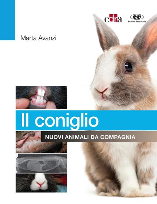 Il coniglio. Nuovi animali da compagnia - Marta Avanzi - ebook