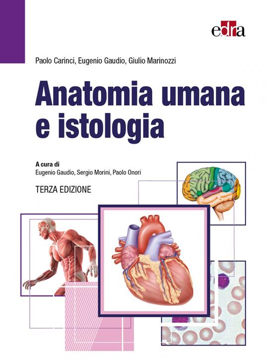 Anatomia umana e istologia - Paolo Carinci,Eugenio Gaudio,Giulio Marinozzi - copertina