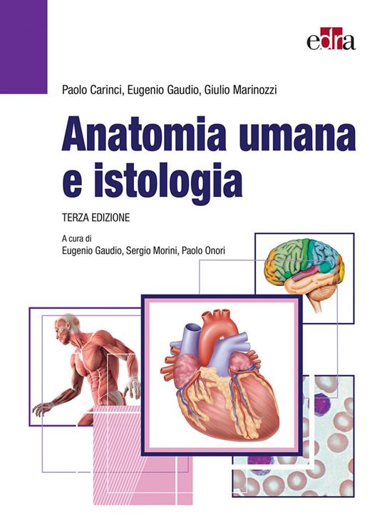 Anatomia umana e istologia - Paolo Carinci,Eugenio Gaudio,Giulio Marinozzi,Sergio Morini - ebook
