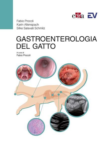 Gastroenterologia del gatto - Fabio Procoli,Karin Allenspach,Silke Salavati - copertina