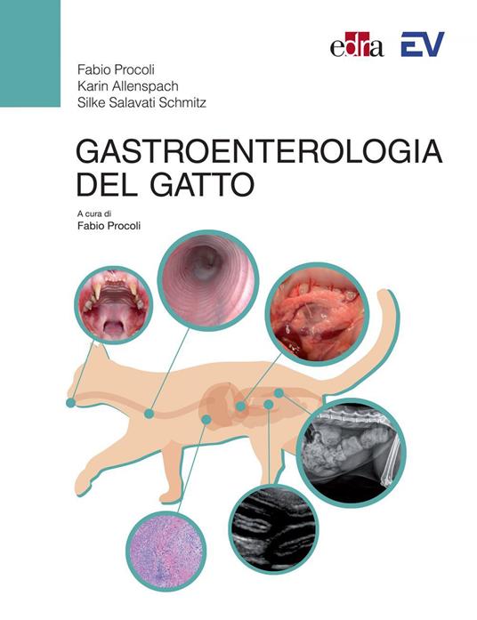 Gastroenterologia del gatto - Karin Allenspach,Fabio Procoli,Silke Salavati - ebook