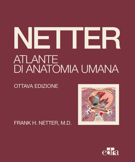 Netter. Atlante di anatomia umana - Frank H. Netter - copertina