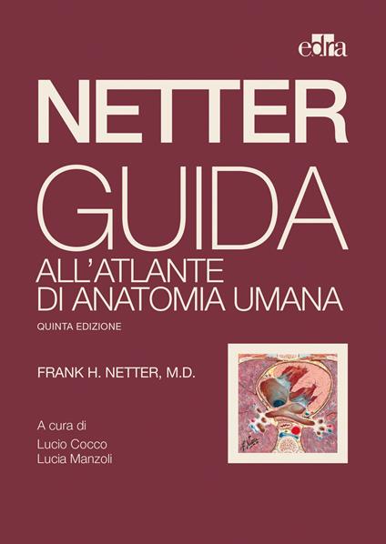 Netter. Guida all'atlante di anatomia umana - Frank H. Netter - copertina